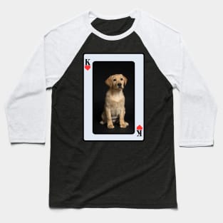 Golden Labrador Baseball T-Shirt